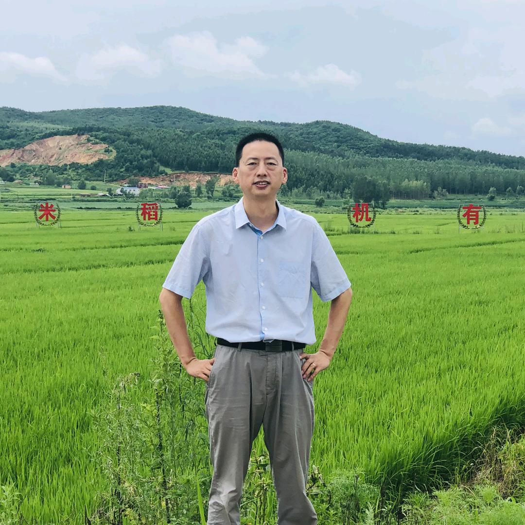 北纯杂粮老杨