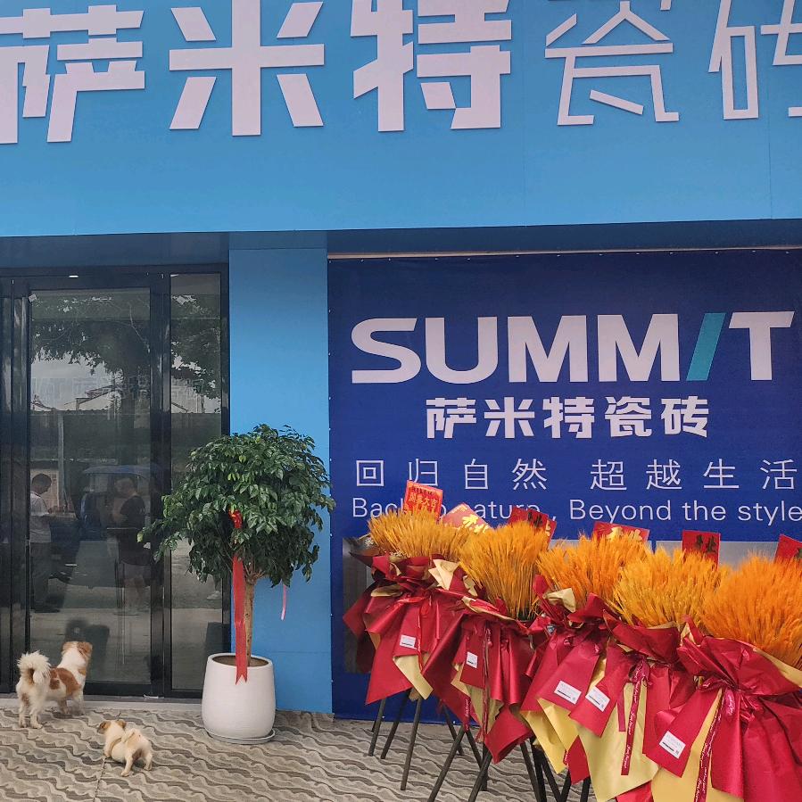SUMMIT萨米特瓷砖(京山店)