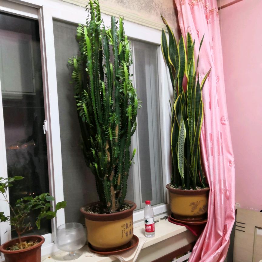 🍀静鑫车行🎋