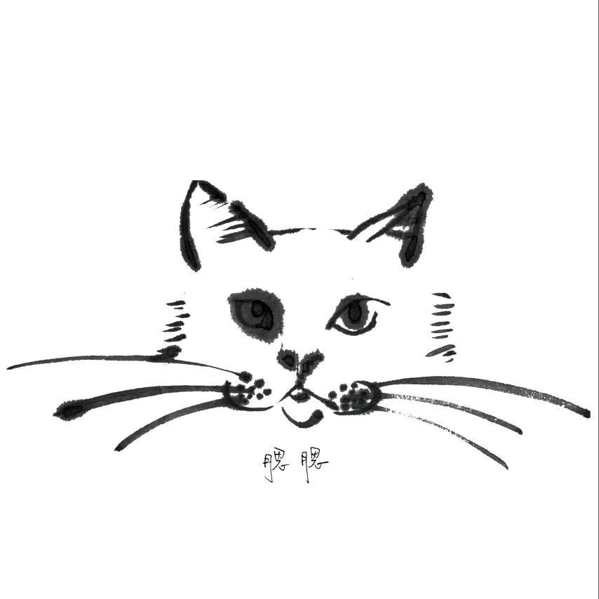 帅哥鉴定师