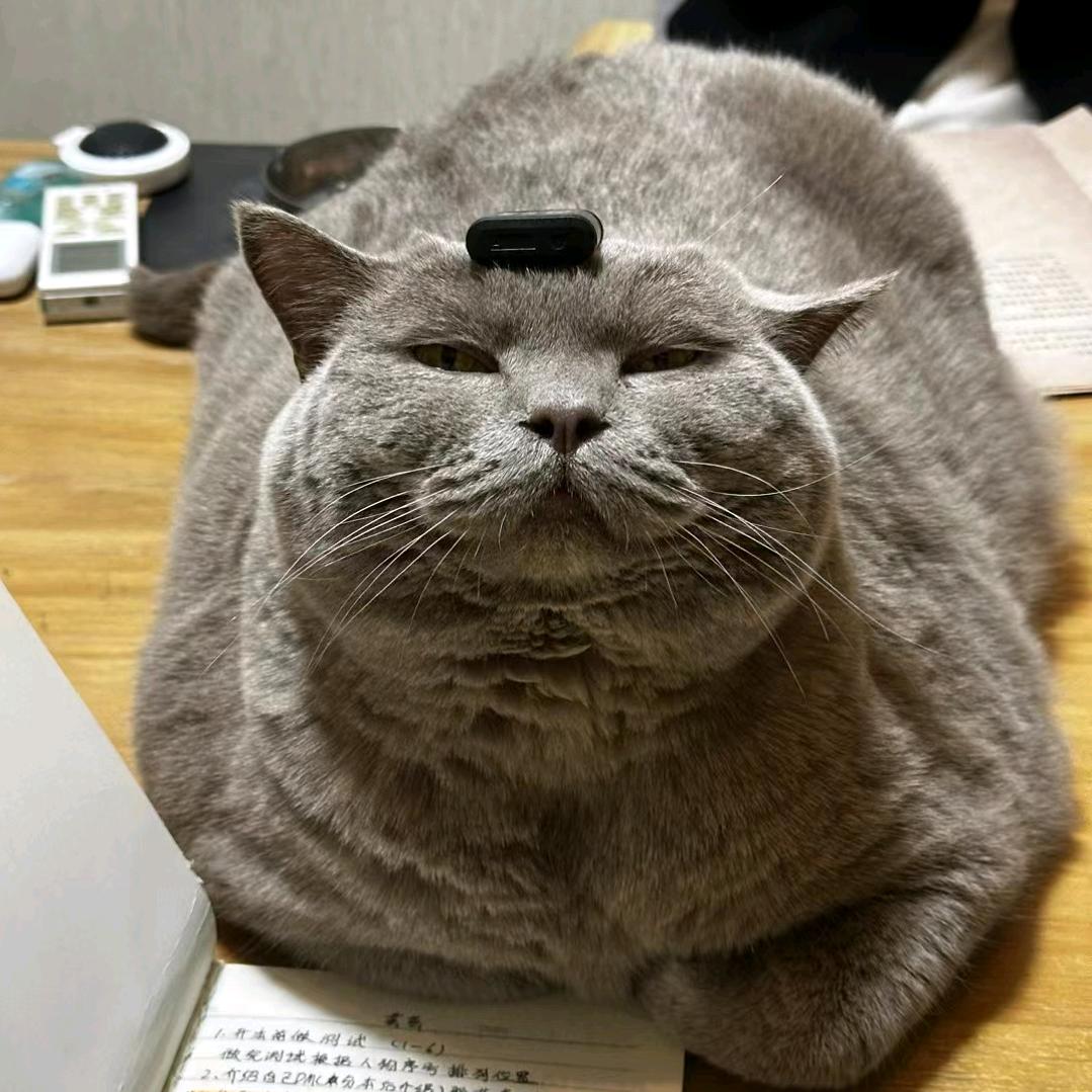 “ 大斌 ”