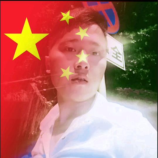 霸王护盾