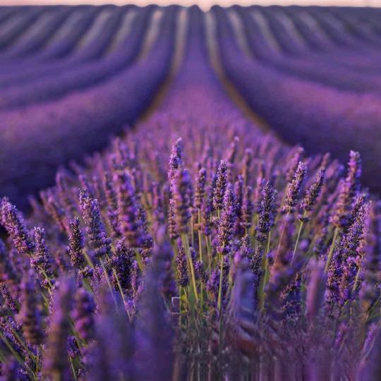 @湖北咸宁，岁月静好、余生好好爱自