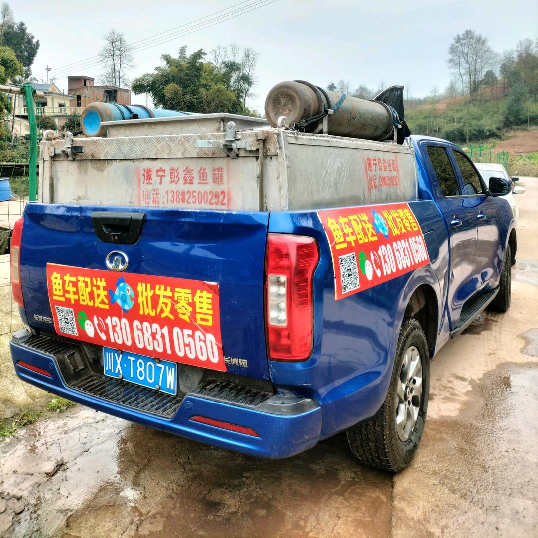 鱼车🐟配送，专做川渝.品质鱼