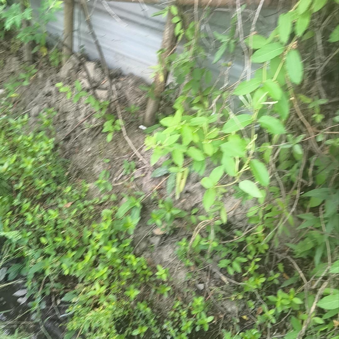 平平安安