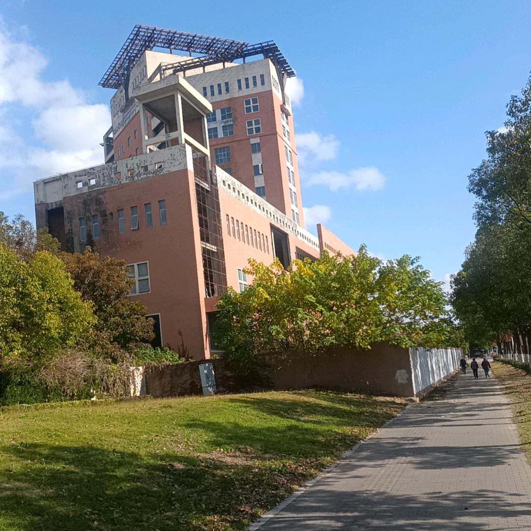 心若坚定，何惧未来