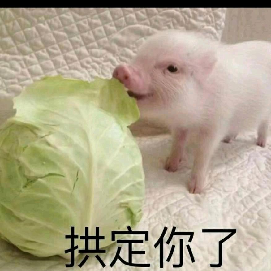 梦之家全屋整装定制