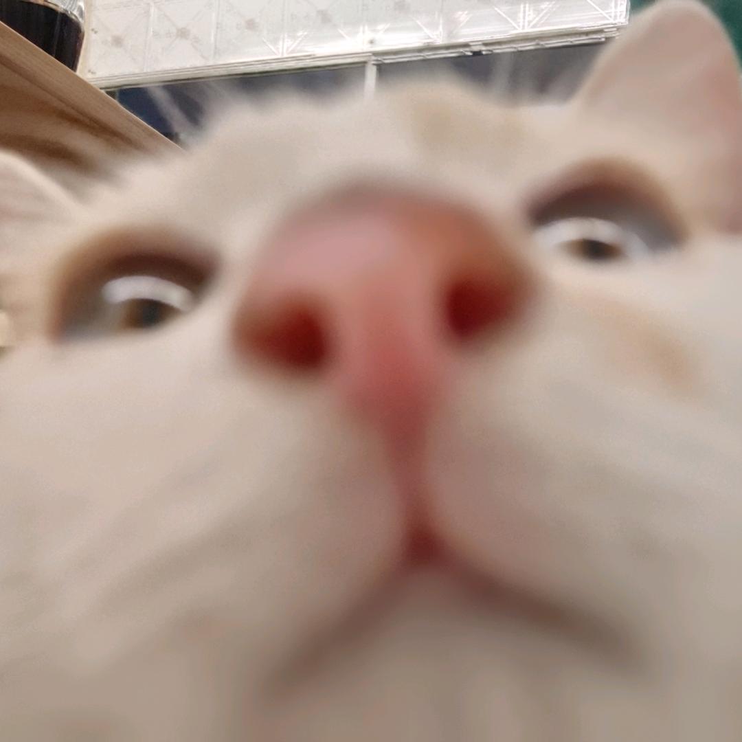 究极量子哥斯拉杀手单手捏爆小行星