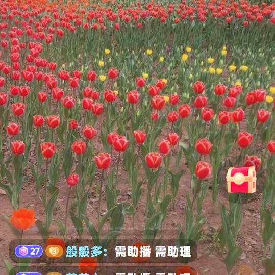 '胡姐