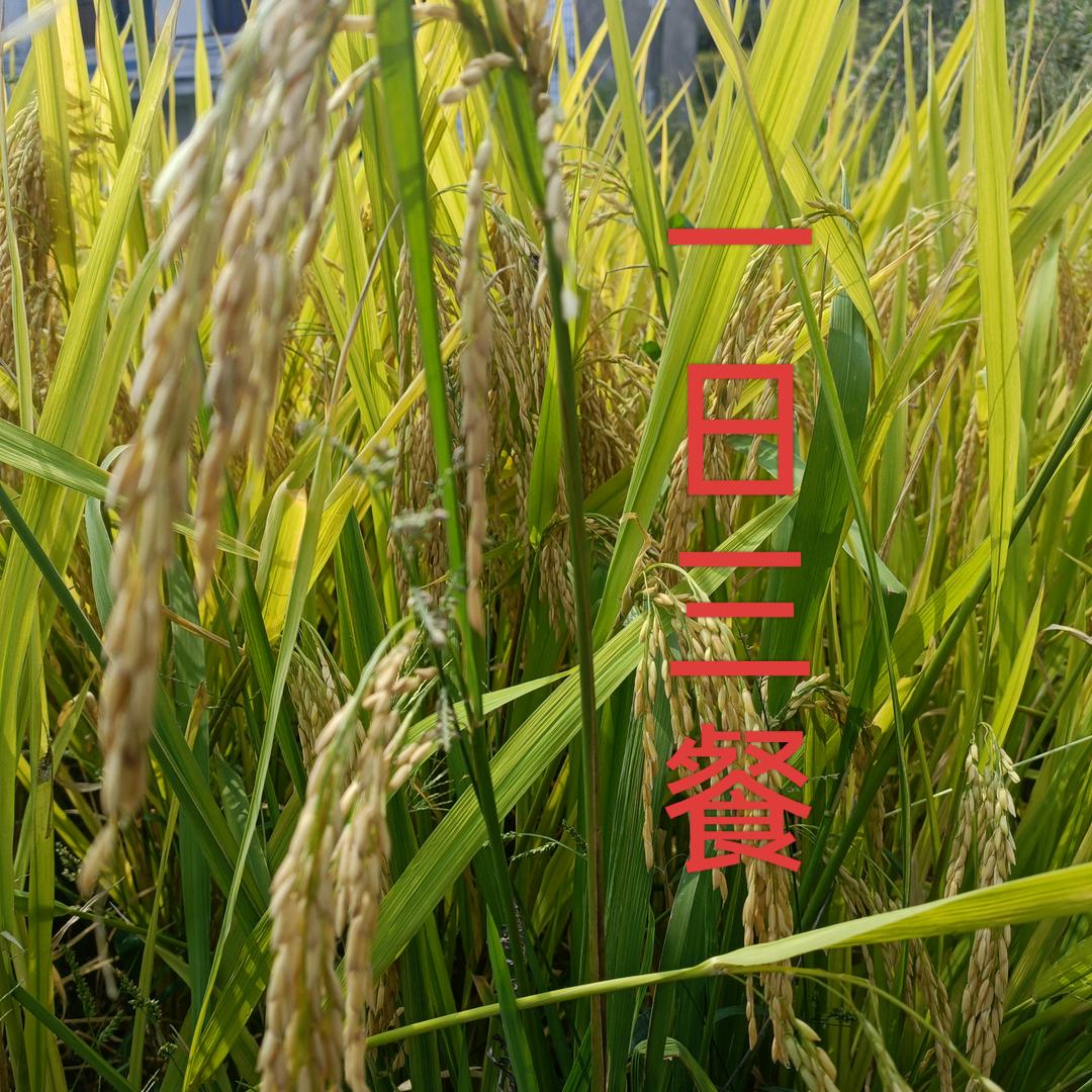 山高水深