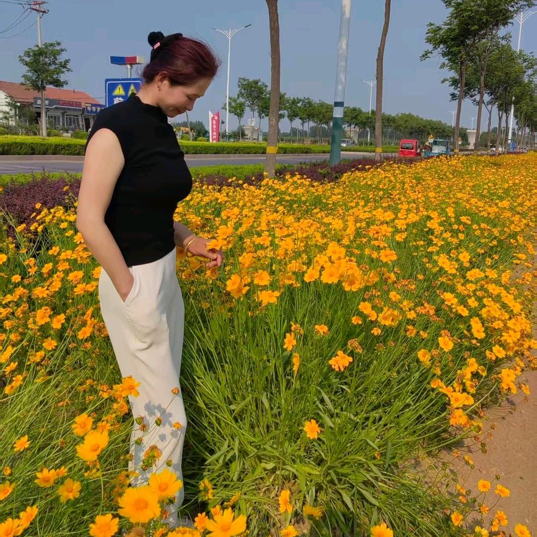 农产品购销—杨义香