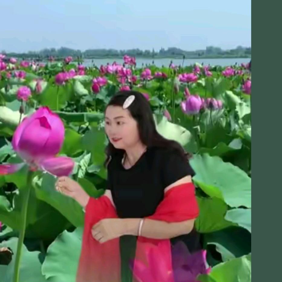 静若繁花