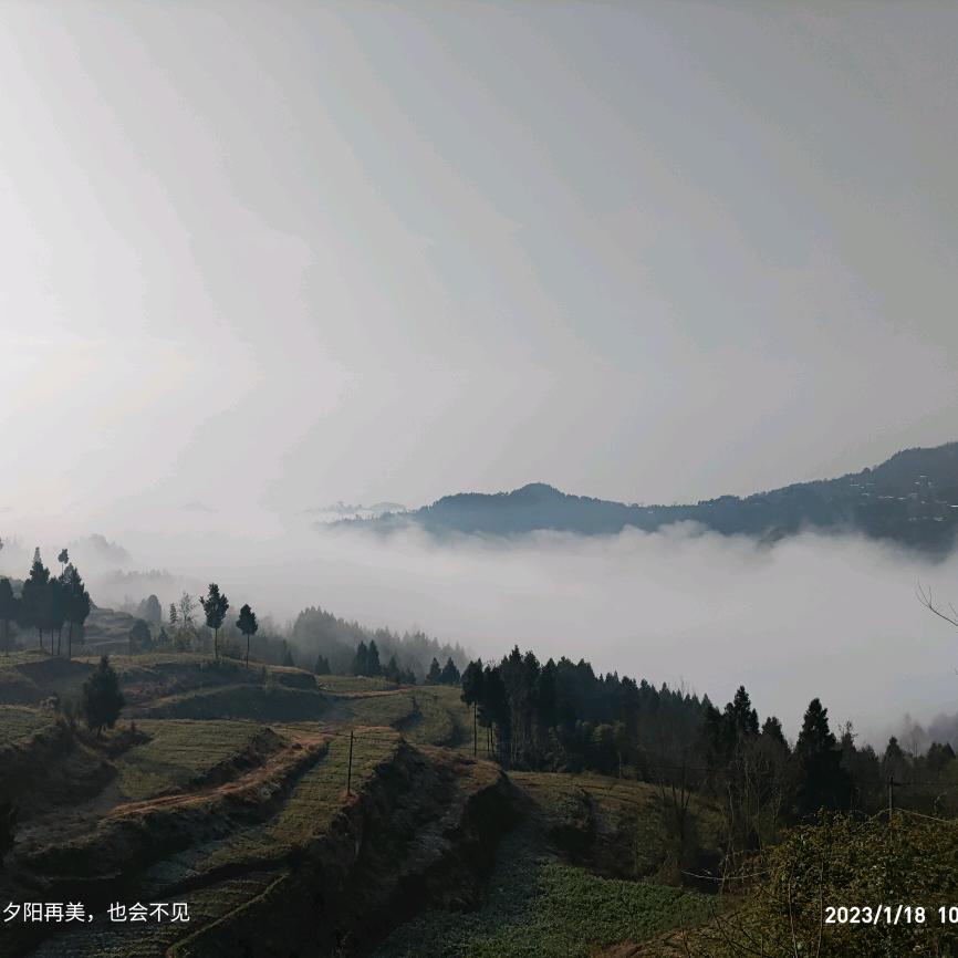 .过客.