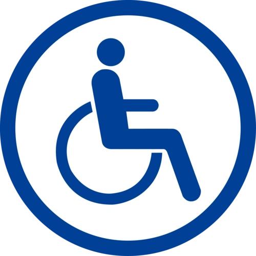 云南残疾人C5教练