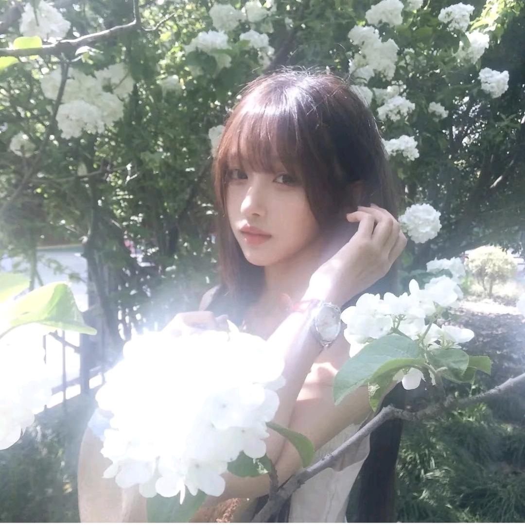李夏末