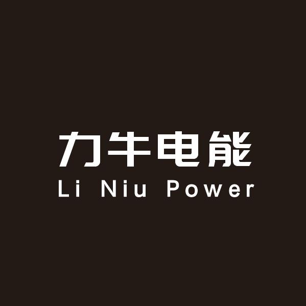 寿光力牛锂电池
