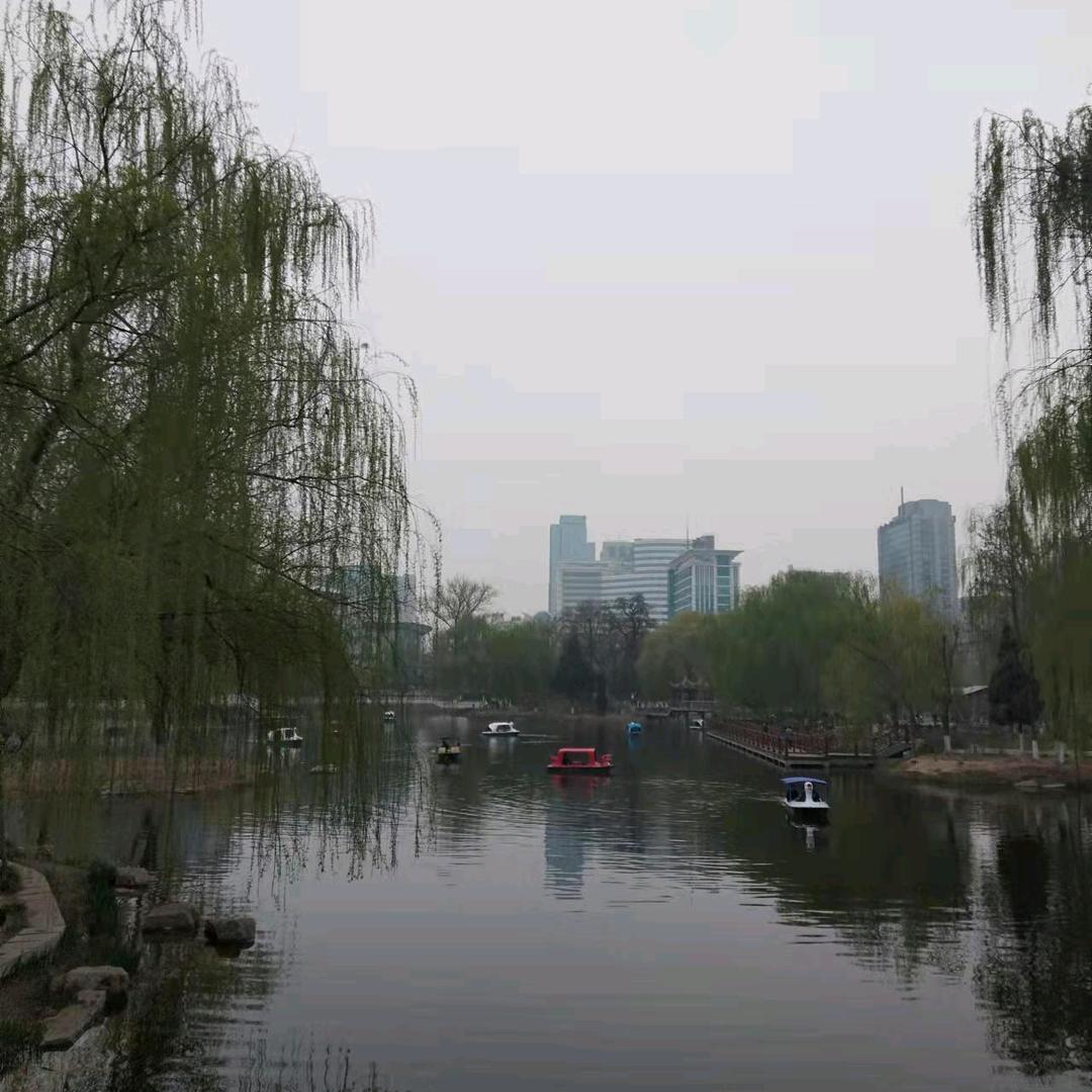 武邑万德福燕姐