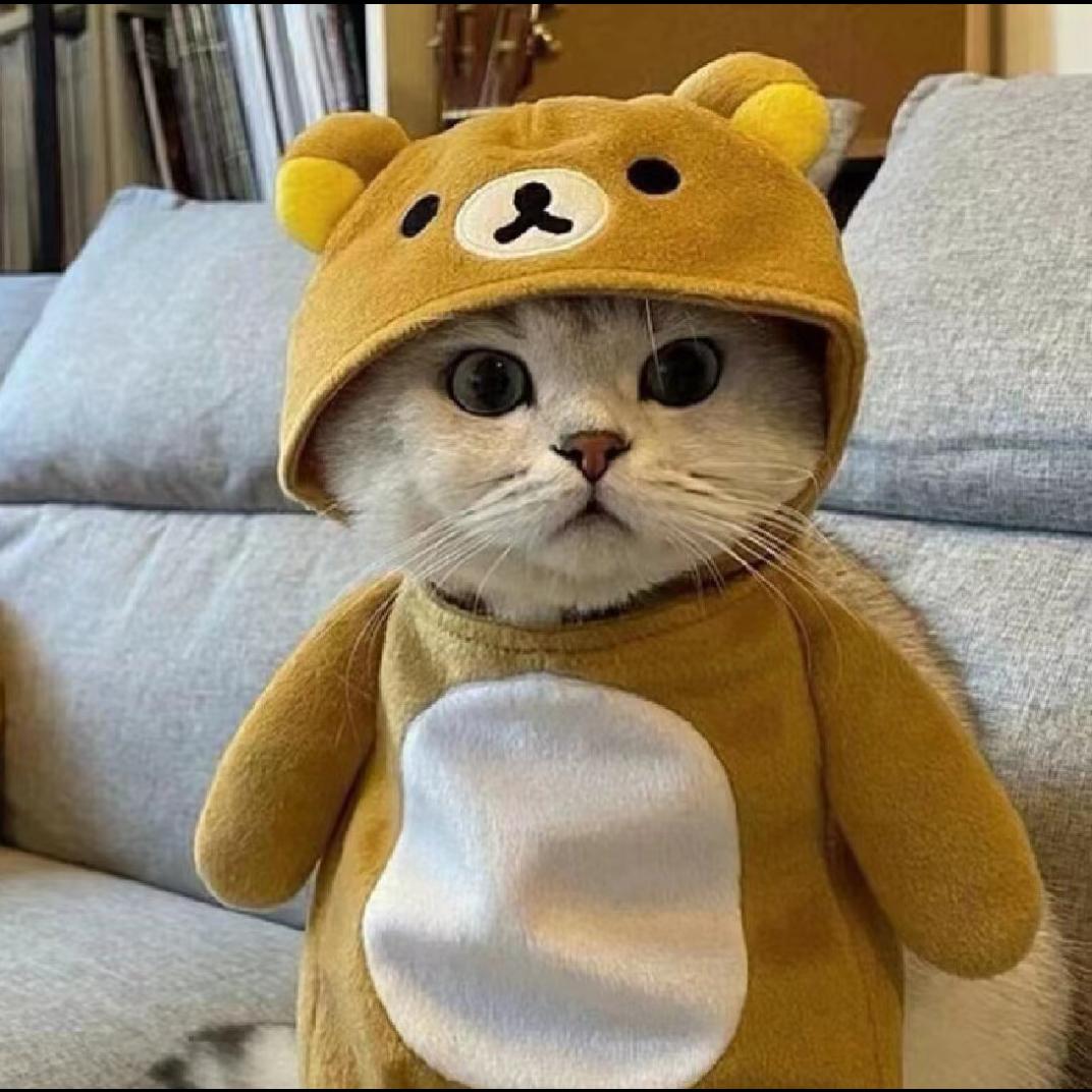 实力鸭