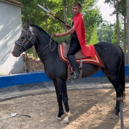 杂技马戏搬运工