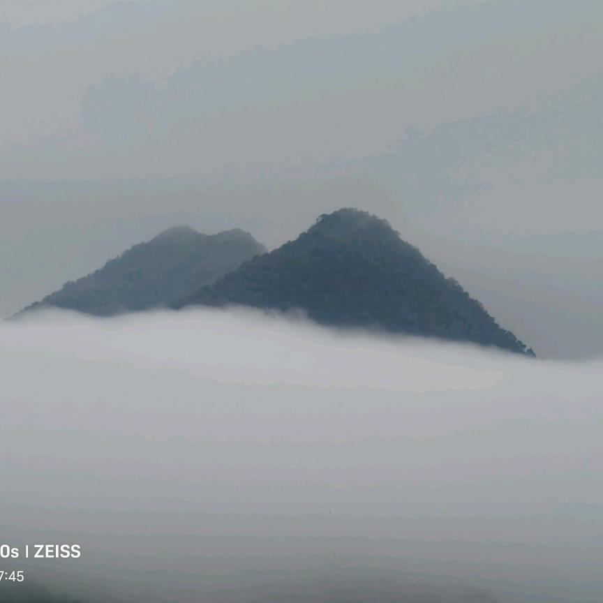 防城港那良陈皮老梁