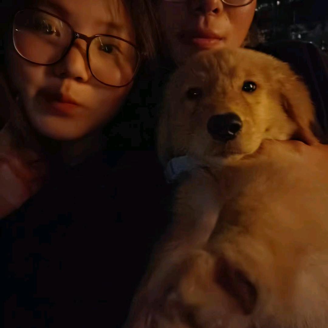 努力的肥仔