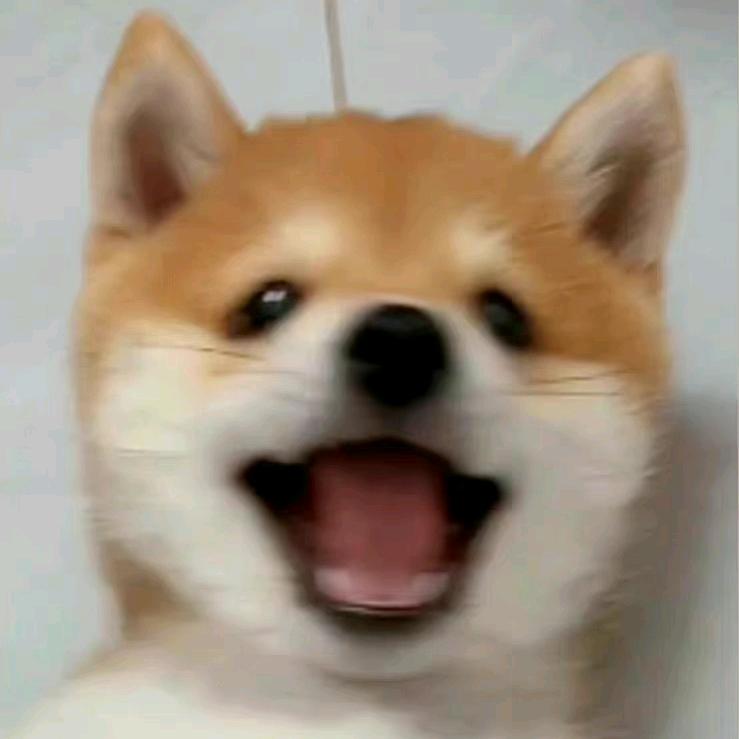 天衍若梦