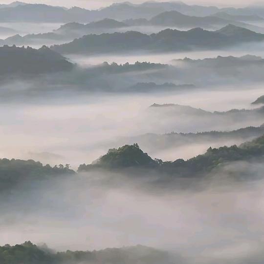 团子啊（下午1:10分）