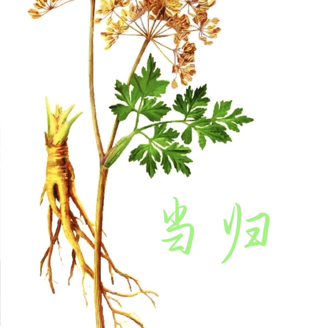 岷县泽优甄选滋补养生小店