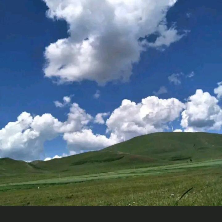 王子