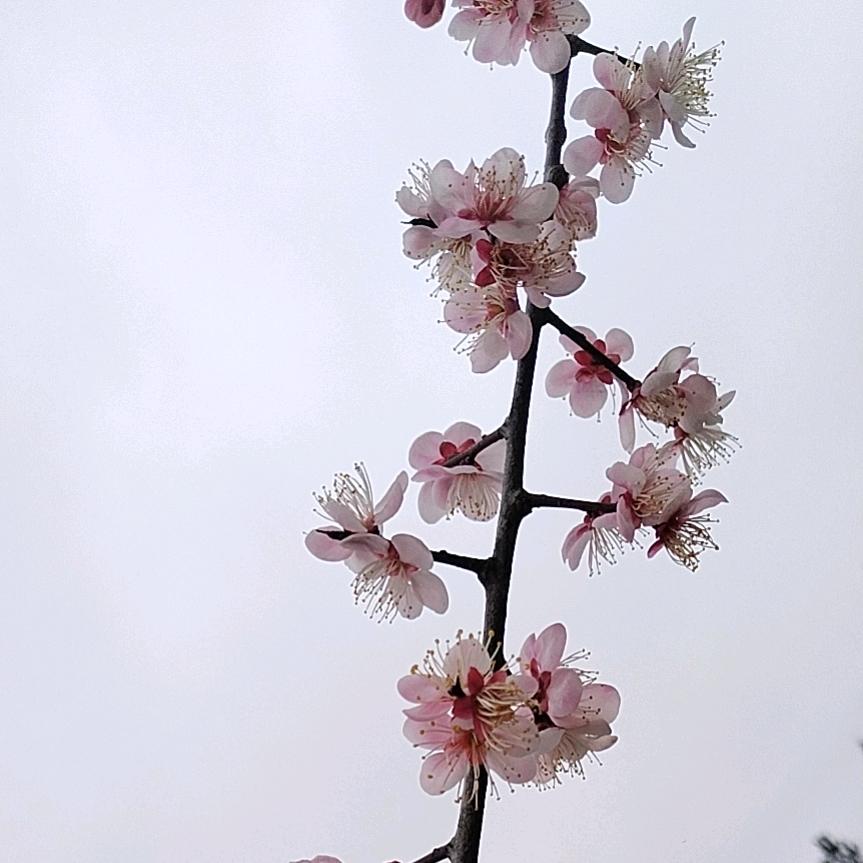 井溪人民欢迎你