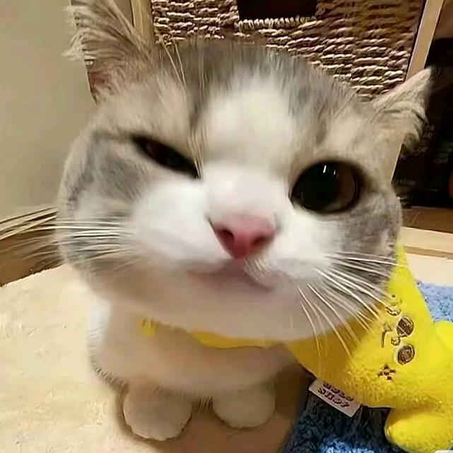 一一