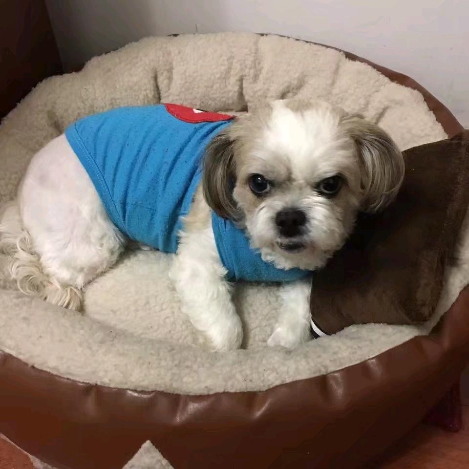 prince💎帽子哥