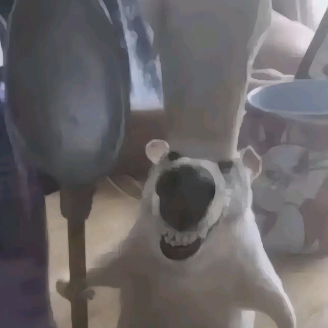 落阳