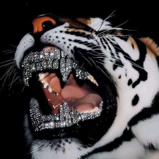 ⚜️一哥⚜️