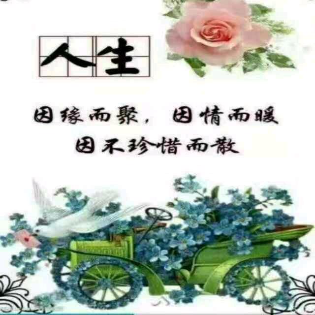 随缘🌹🌹🎉🎉💐💐