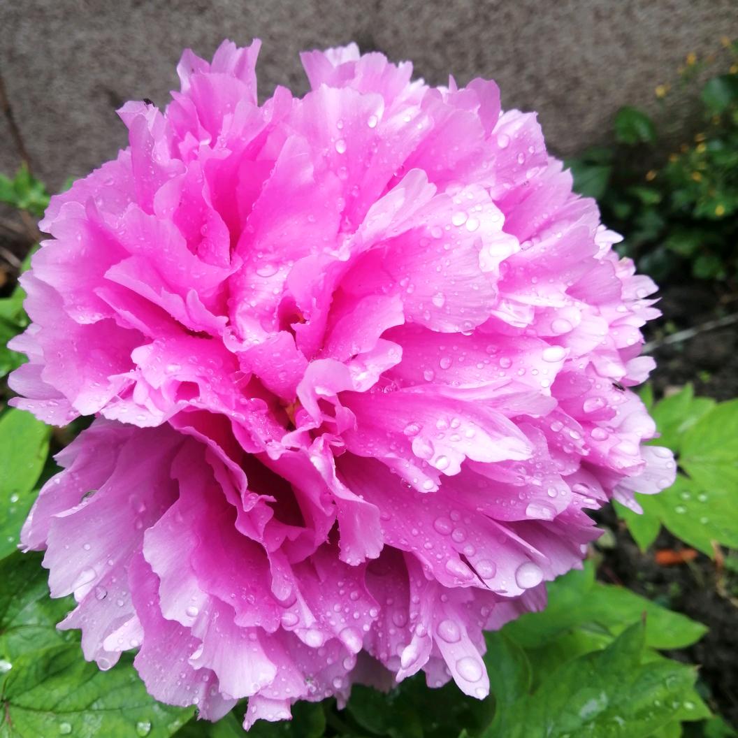 峻岭爱唱歌🎤聊天