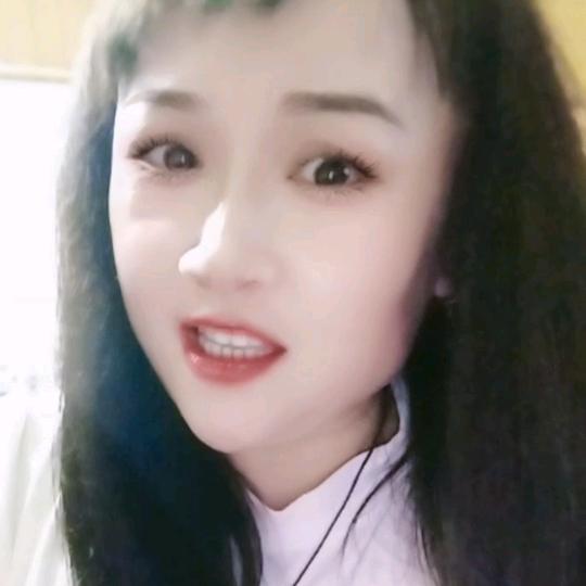 💞华丽郁金香💞