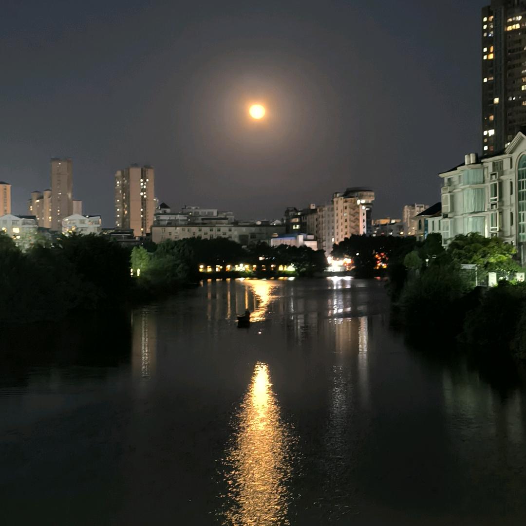 花有重开日，人无再少年