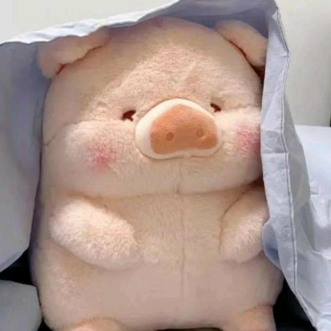万邦（万泰）铭忻冻品批发