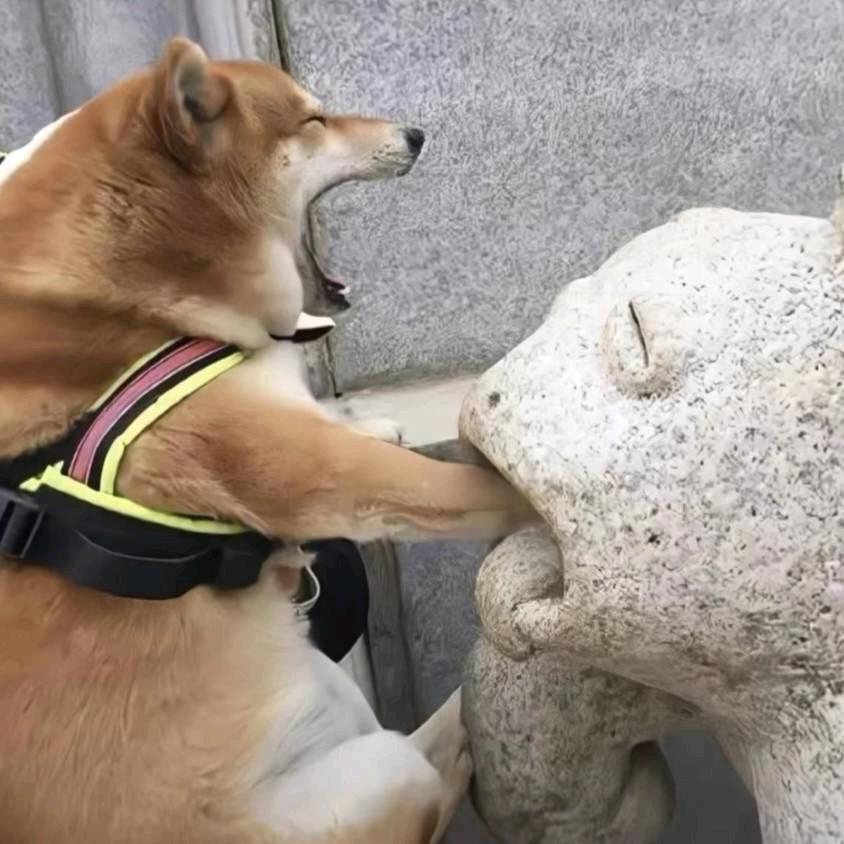 色拉油