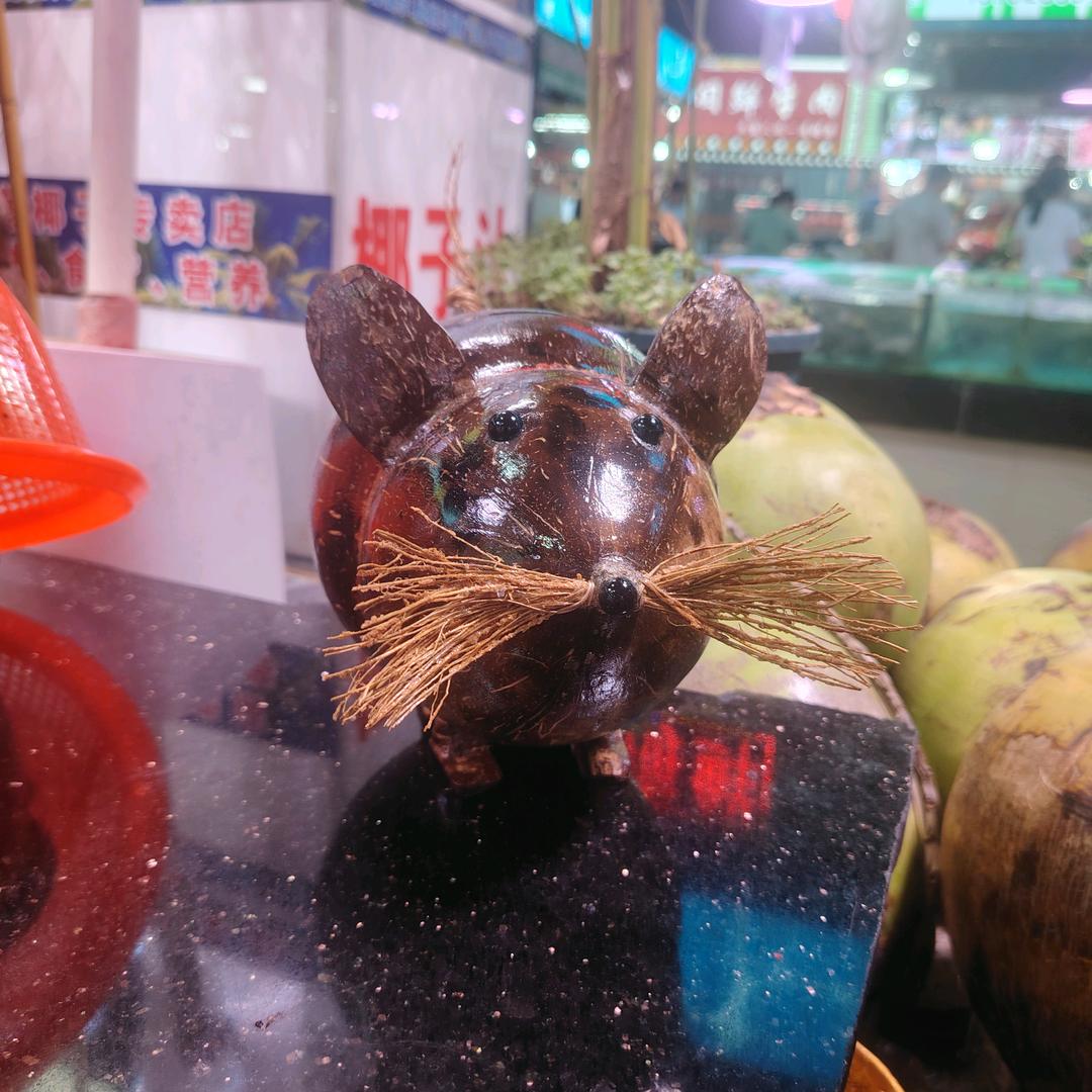 椰家将