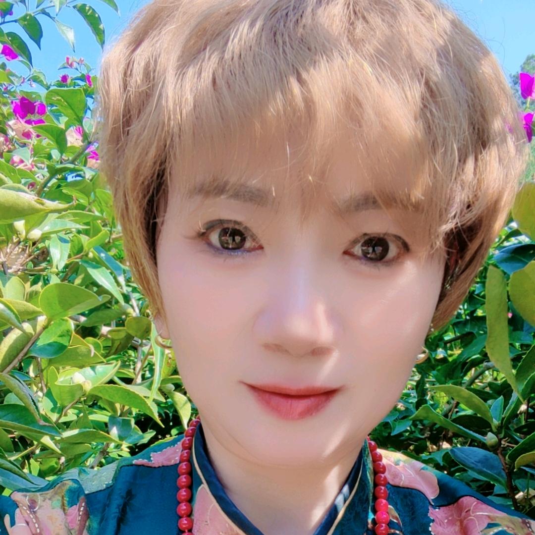 🌸花开富桂🌸