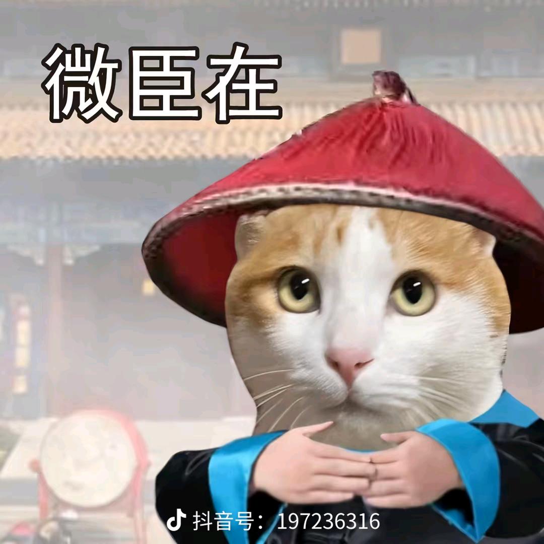 温词.