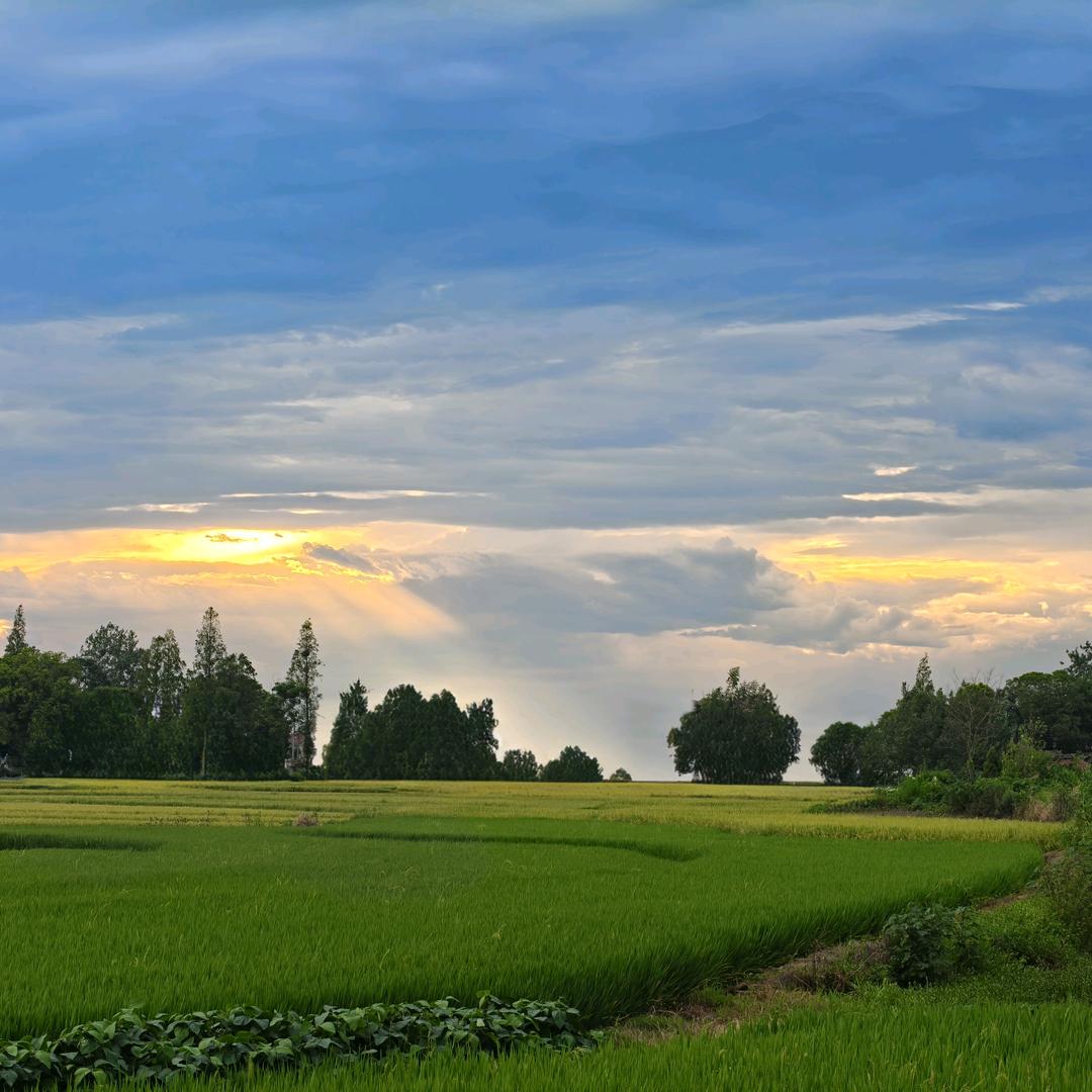 听曲佳人怜爱时