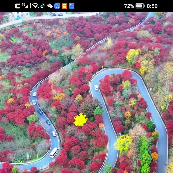 相信自己，成功就要努力