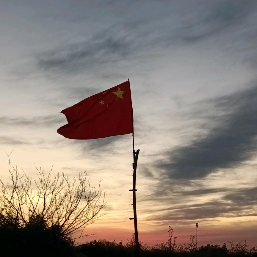 迷人的小花花૮ ˙Ⱉ˙ ა