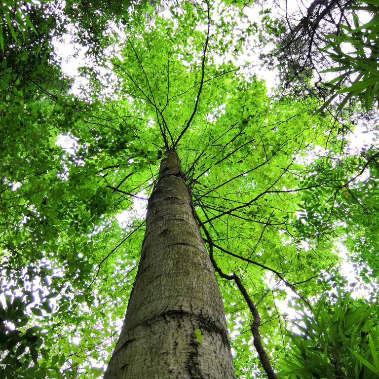 珠峰创业俱乐部