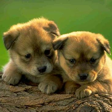 遇見星星✨的旅程