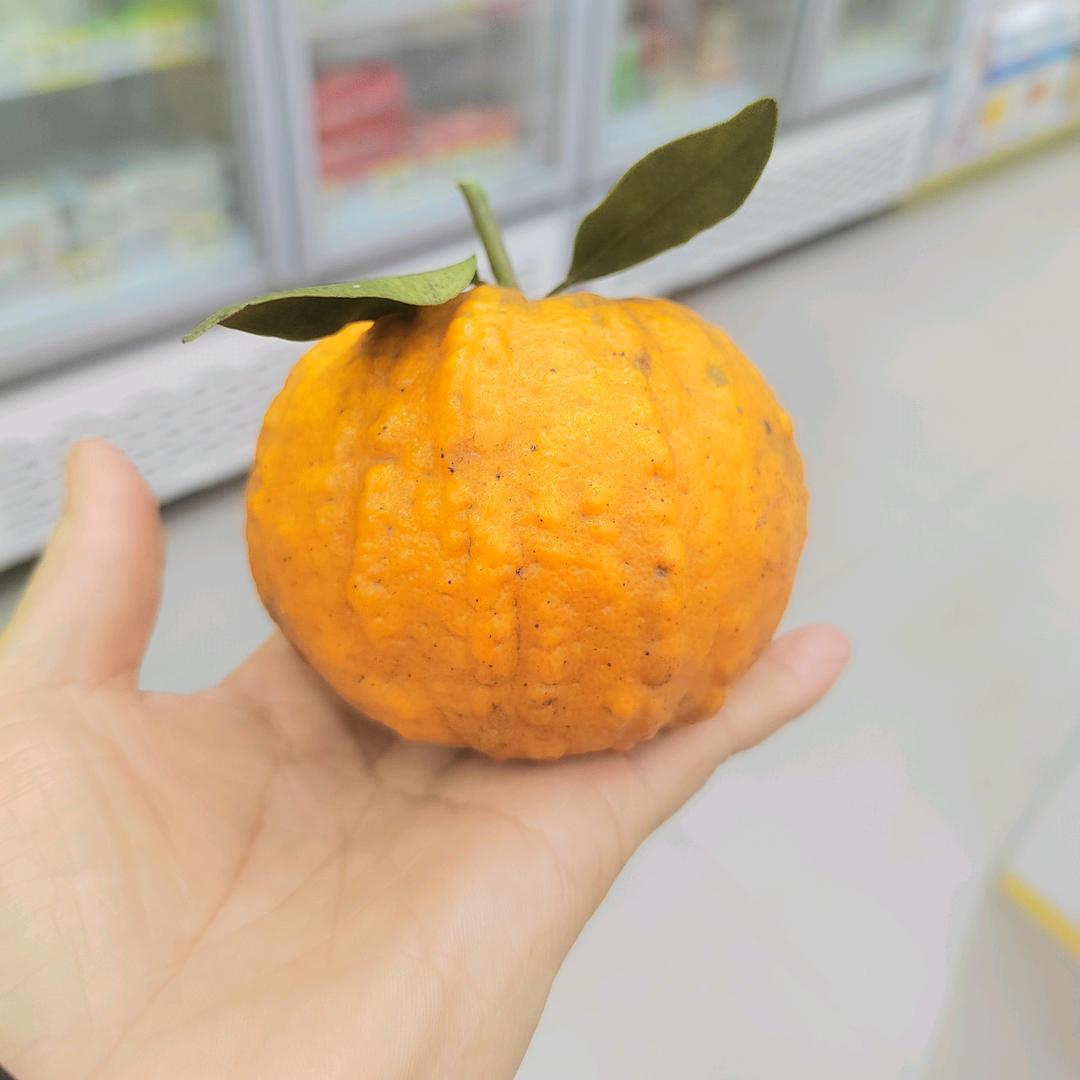@常乐