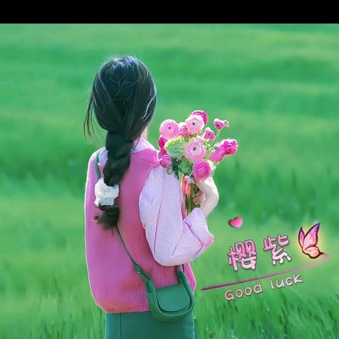 飞梦